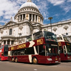 Autobus hop-on hop-off Londyn + piesza wycieczka + rejs po rzece