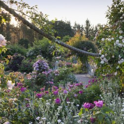 Ogród RHS Rosemoor