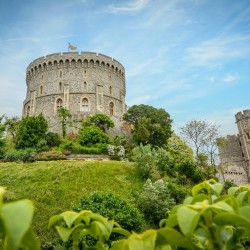 Windsor Castle: Roundtrip from London