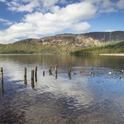 Kompletne doświadczenie Loch Ness: całodniowa wycieczka z Inverness