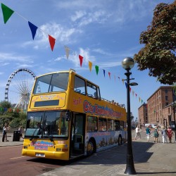 Liverpool Walking Tour + Hop-on Hop-off Bus Tour