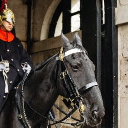 London In A Day: Tower of London, Westminster Abbey & Changing of the Guard