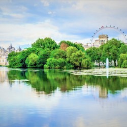 Londyn: Royal Walking Tour z popołudniową herbatą w Rubensie