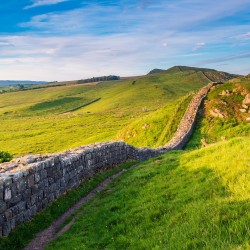 Hadrian's Wall: Half Day Tour From Newcastle