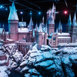 Z Londynu: Wejście do Harry Potter Warner Bros. Studio z transportem