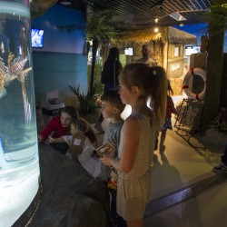 Oceanarium Exploris Aquarium